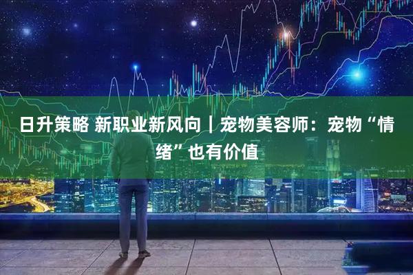 日升策略 新职业新风向｜宠物美容师：宠物“情绪”也有价值